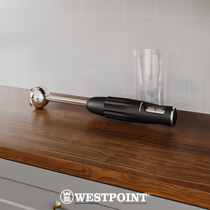 Mixeur Plongeant WHBH-23025.PN