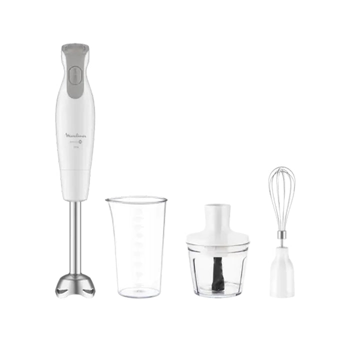 MIXEUR PLONGEUR DD552110 DAILYCHEF PIED MÉTAL 2EN1 - 600W, 4 LAMES
